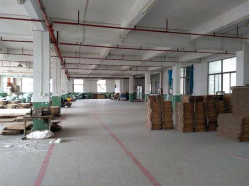 西鄉(xiāng)房屋改造裝修前，房屋建筑質(zhì)量檢測(cè)報(bào)告應(yīng)由何單位出具？工業(yè)設(shè)計(jì)服務(wù)需注意哪些要點(diǎn)？